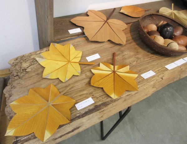 IMG_8300 のコピー