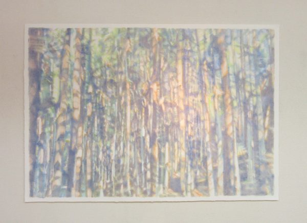 IMG_8574 のコピー