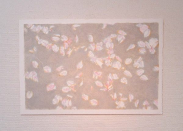 IMG_8586 のコピー