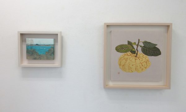 IMG_8926 のコピー