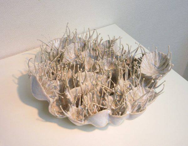 IMG_8971 のコピー