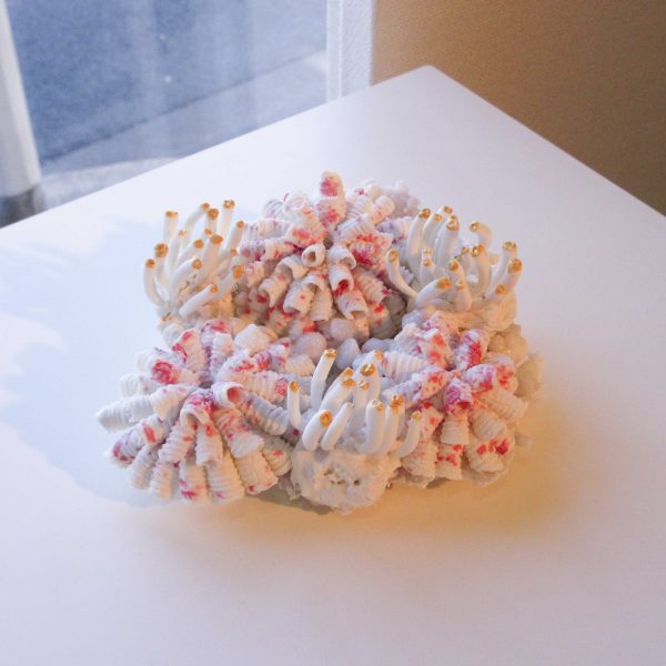 IMG_9000 のコピー