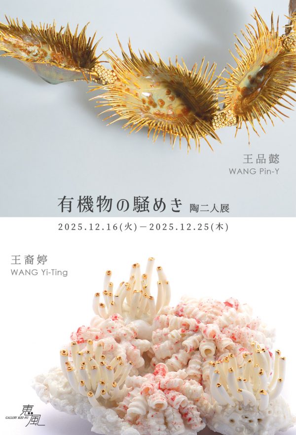 wangyiting_wangpiny_DM_2025_12