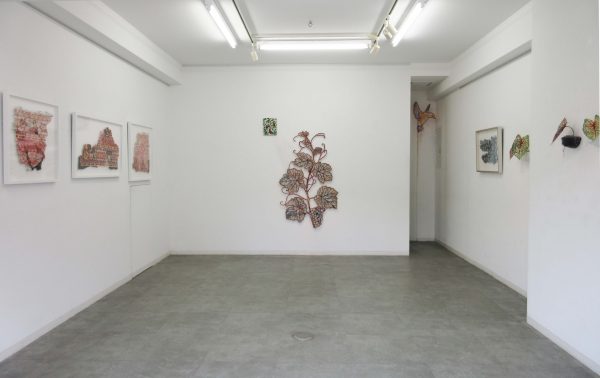 IMG_9074 のコピー