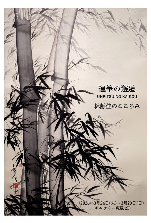 hayashishizuka_DM_2026_3