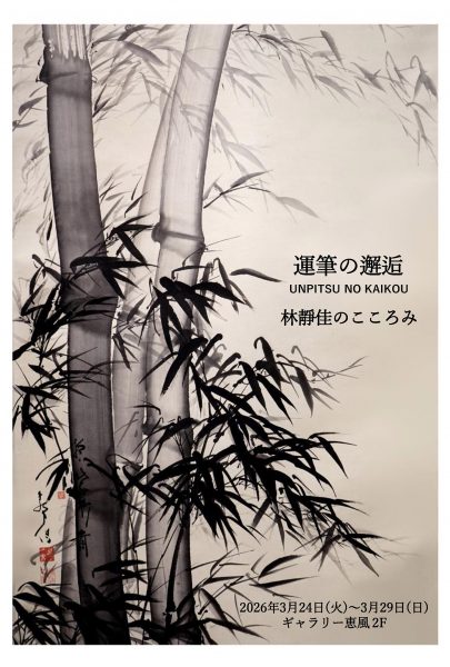 hayashishizuka_DM_2026_3