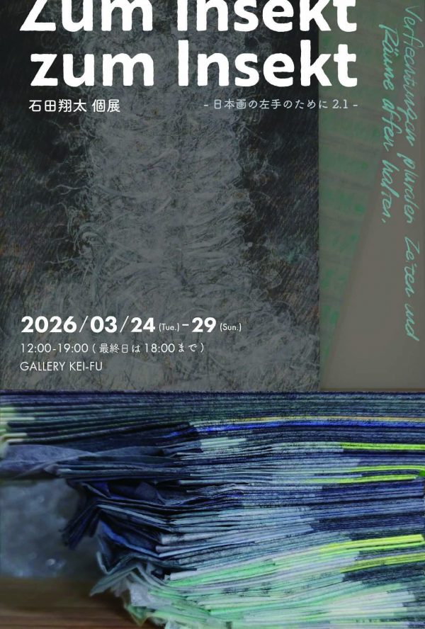 ishidashota_DM_2026_3